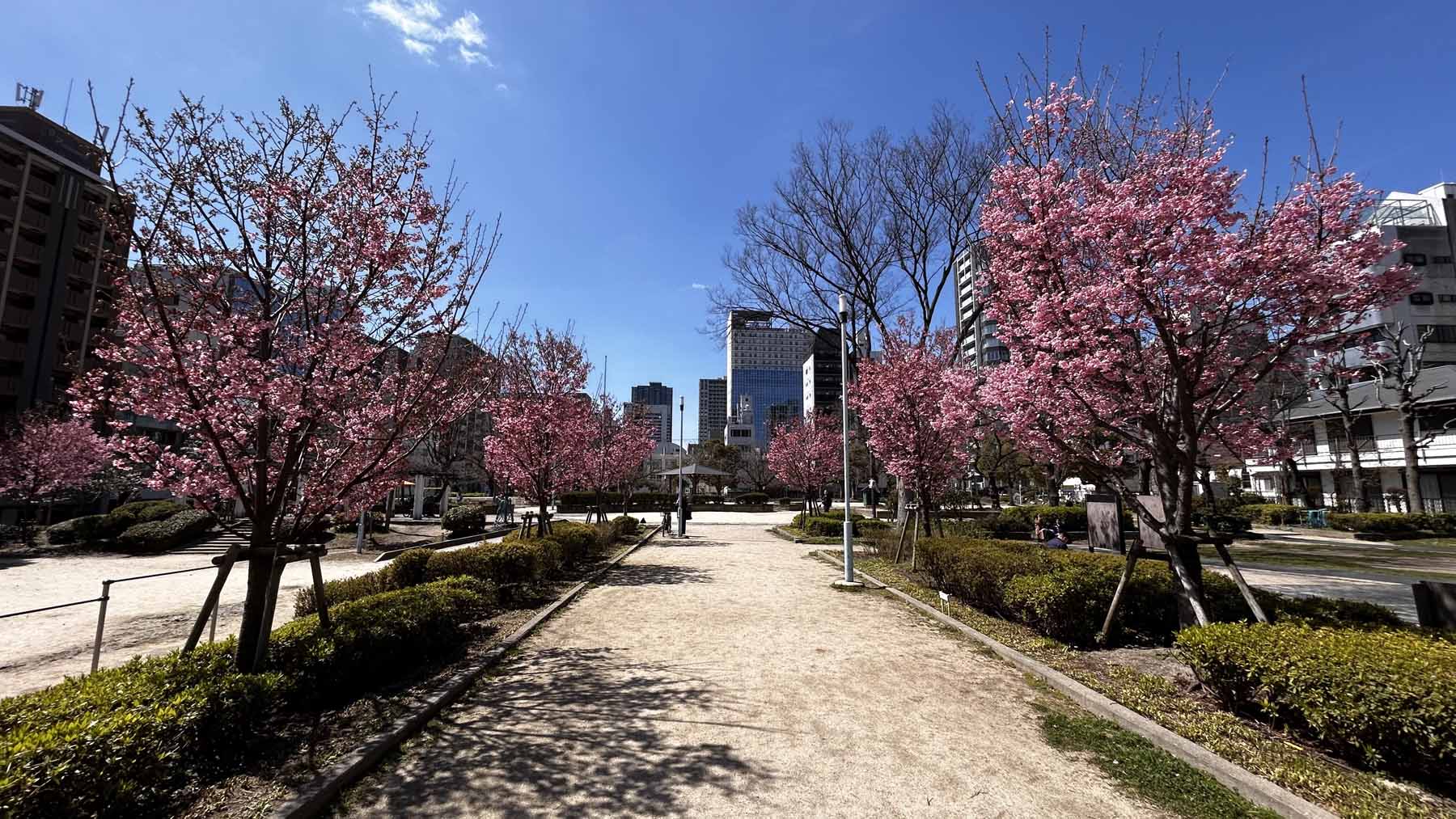 Produit été Slide background